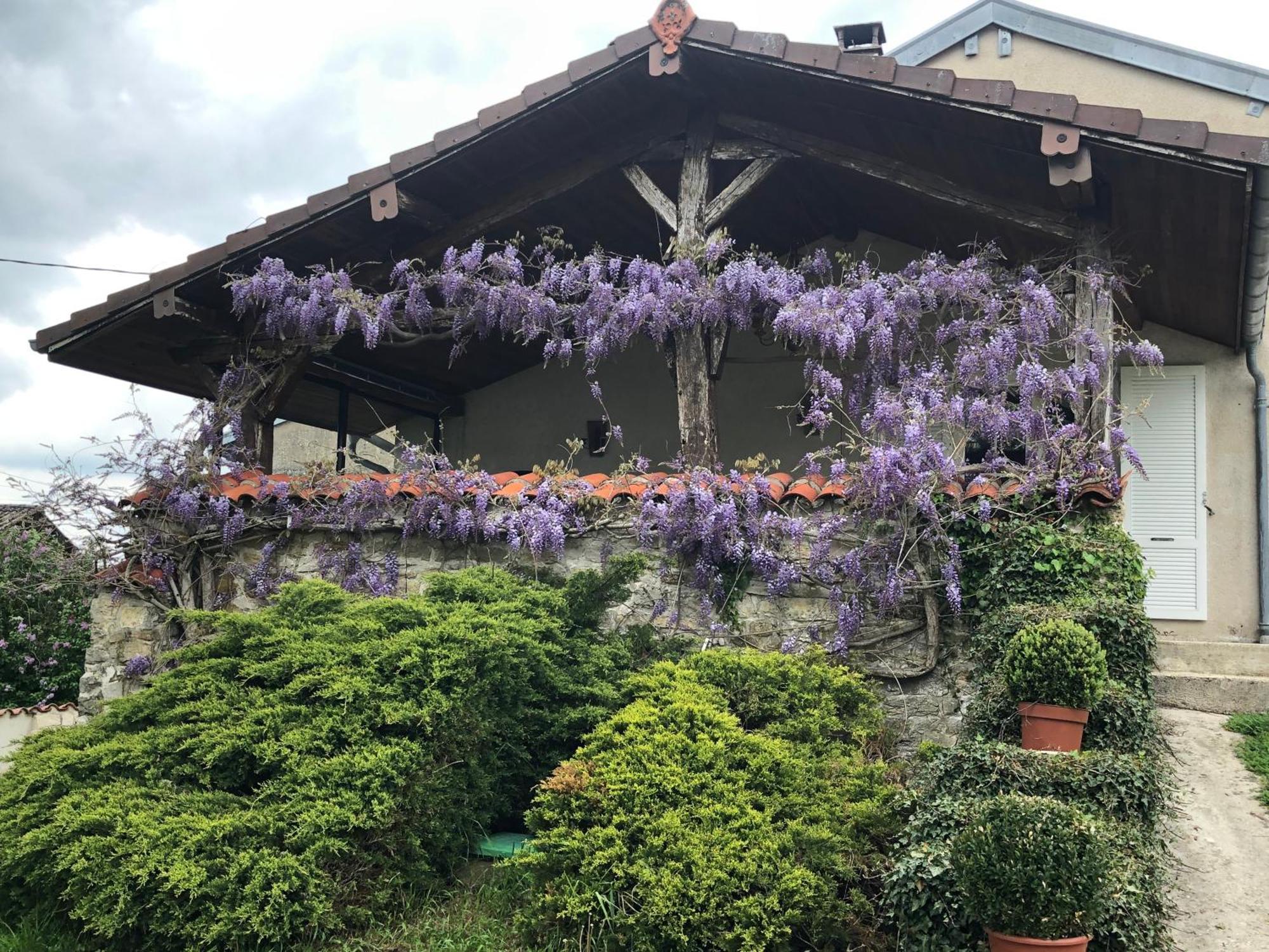 Gite De L'Ancheronne 12 Couchages Spa Lavans-sur-Valouse Eksteriør bilde