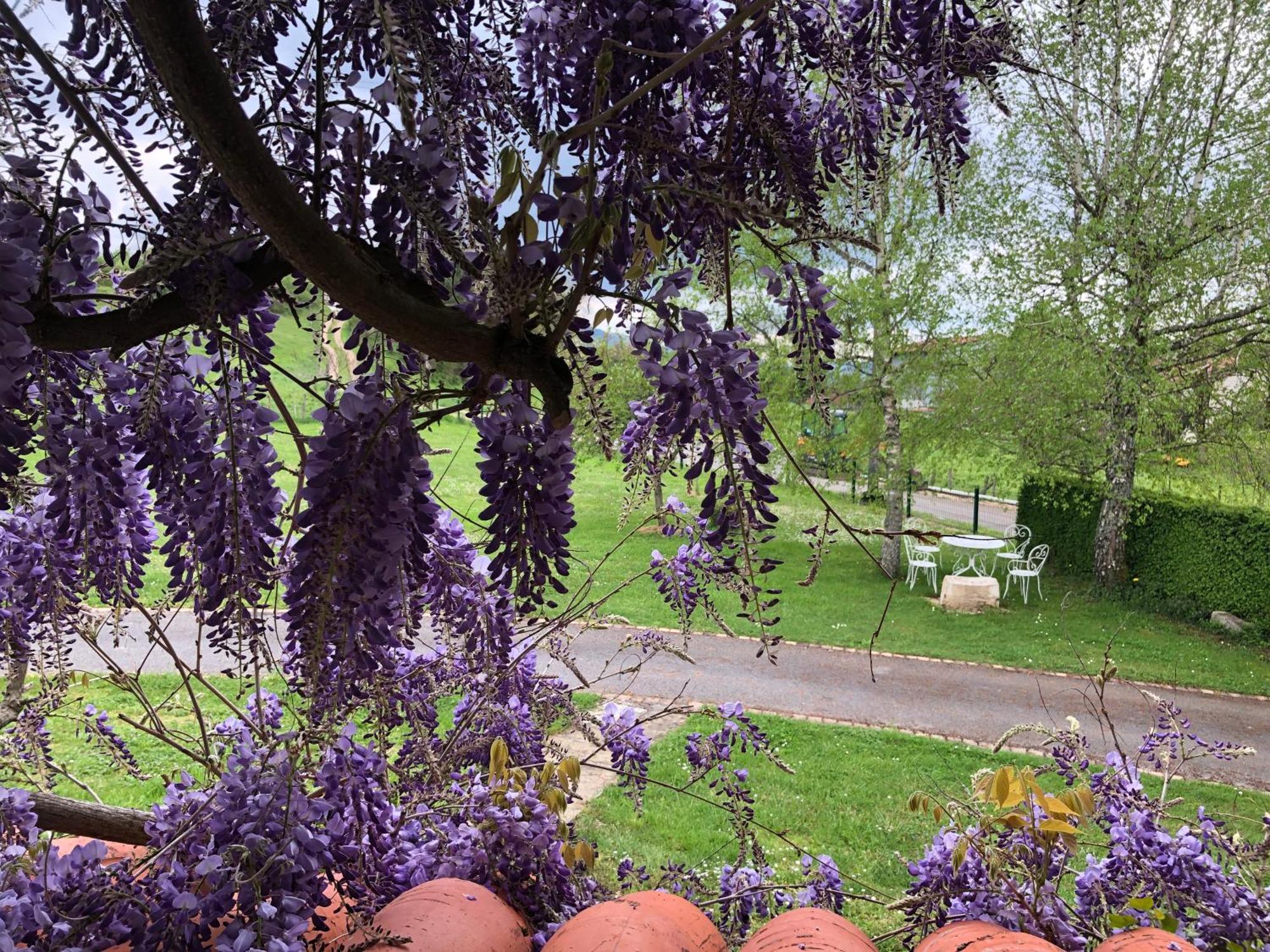 Gite De L'Ancheronne 12 Couchages Spa Lavans-sur-Valouse Eksteriør bilde
